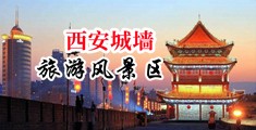 荡妇12p中国陕西-西安城墙旅游风景区