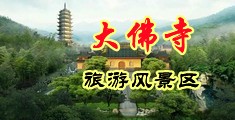啊啊啊肏逼免费观看中国浙江-新昌大佛寺旅游风景区